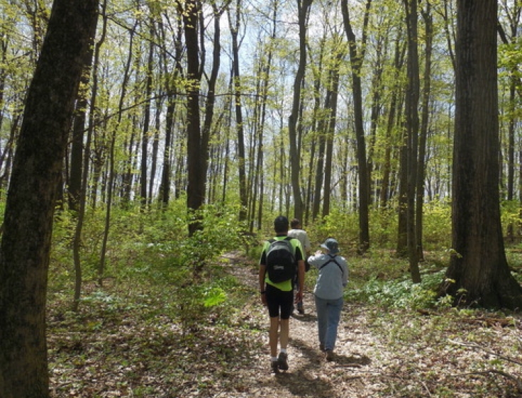 Dale’s Ridge Trail The Merrill W. Linn Land & Waterways Conservancy
